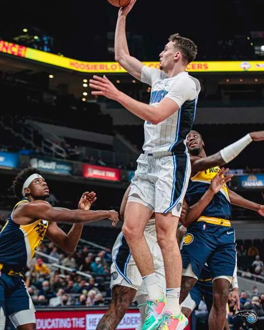 对雄鹿来说 对雄鹿来说